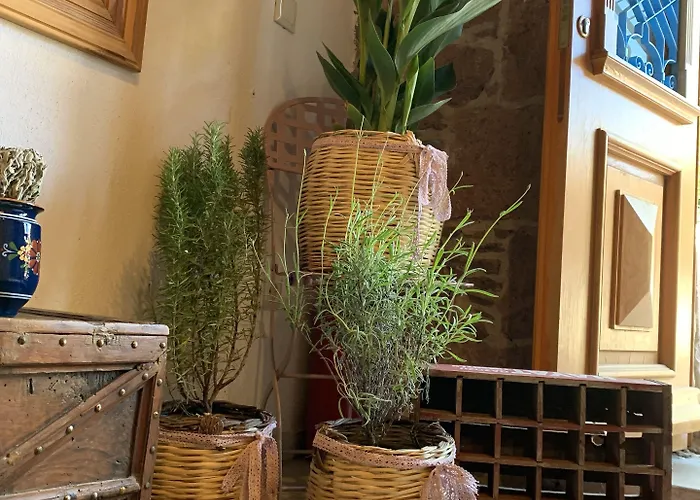 Fragrante - Adult Only 3*